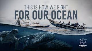 Sea Shepherd - This Is How We Fight for Our Ocean