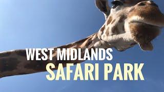 West Midlands Safari Park Visit, Bewdley, UK. Drive through, penguins and Lemur enclosure!