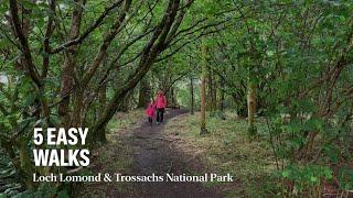 5 Easy Walks in Loch Lomond and Trossachs National Park