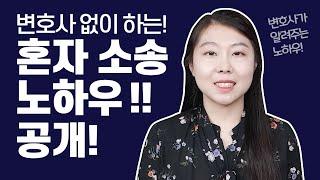 변호사 없이 혼자 소송하려면?-서주희 변호사의 나홀로 소송 방법