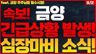 [금양 주가전망]초비상사태! 갑자기 이게 무슨 소리? 상황이 더욱 심각해지네요... 이게 사실이라면 어마어마한 일들이 펼쳐진다! #금양 #금양주가전망 #금양주식전망