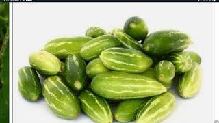 How To Grow Tindora | Ivy Gourd | Perennial Cucumber Plant