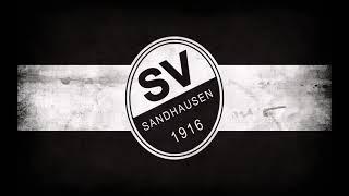 SV Sandhausen Torhymne 2024/25