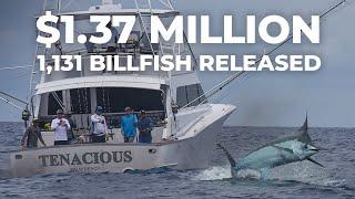 COSTA RICA'S LARGEST & RICHEST FISHING TOURNAMENT - PELAGIC ROCKSTAR OFFSHORE TOURNAMENT