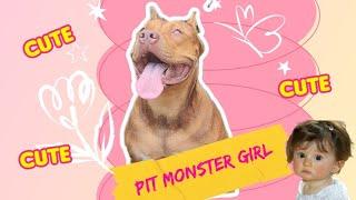 Cute Pitbull Videos #lekthebestkennel