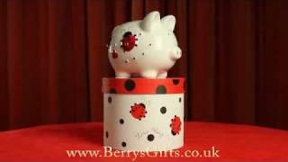 Embossed Ceramic Piggy Bank with Gift Box. Red Ladybird Love Bug