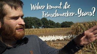 Die Heimat der Feinschmecker-Gans – der Gänse-Bauernhof von Familie Claßen. Gourmondo Unterwegs