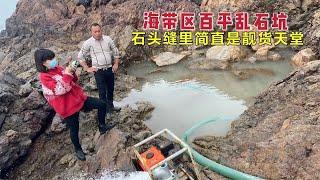 【阿向趕海】海帶區百平亂石坑 石頭縫成為海貨天然庇護所圍觀的粉絲驚呼發財