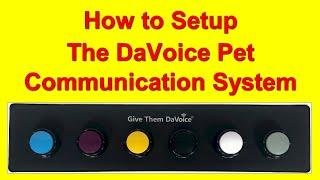 DaVoice Dog Talking Button Board Setup - The Best Dog Button Board on Amazon!