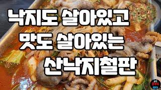 어마어마한 크기의 살아있는 낙지가 들어가는 산낙지철판 마무리볶음밥은 선택아닌 필수!! | Octopus hot plate dish | MUKBANG