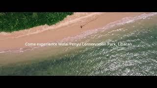 Walai Penyu Conservation Park Libaran