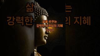 삶을 바꾸는 강력한 부처님의 지혜 5가지