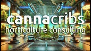  CannaCribs Consulting: Elevate Your Commercial Cannabis Facility 