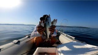 Bluefish WITH POPPER. 6 BOFOR I RETURNED IN HARD WEATHER.