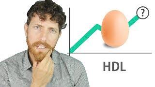 The Big HDL Myth: Good Cholesterol Examined