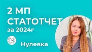 2 МП СТАТОТЧЕТ за 1 квартал 2024г Нулевка при отсутствии деятельности