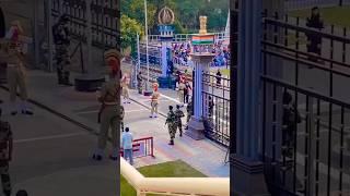 Bagha Border Vlogs: Live India vs Pakistan  what a reaction #shorts #youtubeshorts #shortvideo