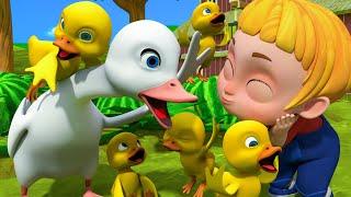 Five Little Duck Adventure!  | Fun Songs for Kids & Toddlers | THE BEST Song for Children