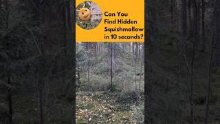 Can you find the hidden Dragonite in 10 seconds from the deep forest?