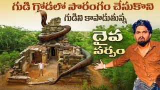 గుడి చుట్టూ సొరంగం | కాపలా ఉన్న పాము