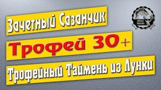 Зачетный Сазан /Трофей 30+/Трофейный Таймень из Лунки