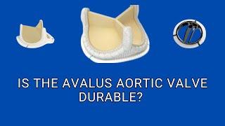 Will the Avalus Cows Aortic Valve Replacement Last A Lifetime?