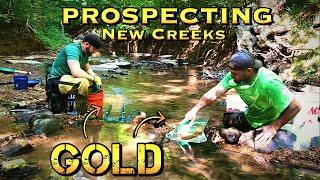 Prospecting New Creeks for Amazing Gold Deposits - Part 1