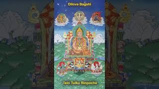 Dilova Bagshi  - Vitaly Bokov. Song about Telo Tulku Rinpoche.