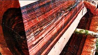 sawing rosewood (rosewood) the most expensive wood in the world. sawmill