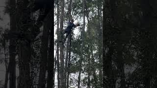 Land Clearing Montgomery TX - Sticks and Stones Land Management