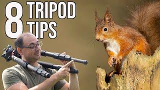 Wildlife Photography for Beginners - 8 Essential TRIPOD TIPS