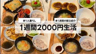 【料理Vlog】【1週間2000円生活】〜1人暮らしOLの30分で作る1週間の自炊記録〜 とんかつ/回鍋肉/野菜炒め/パプリカの肉詰め/海老と大葉の春巻き