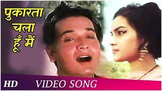 Pukarta Chala Hoon Main (HD) | Mere Sanam (1965) | Asha Parekh | Biswajit Chatterjee | Mohd.Rafi