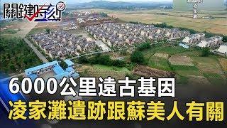 相隔6000公里的遠古基因 安徽凌家灘遺跡居然跟蘇美人有關！？ 關鍵時刻 20170522-4馬西屏 劉燦榮