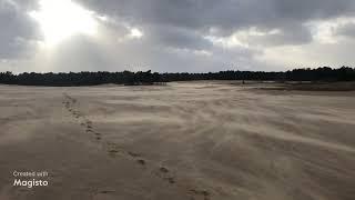 Stuifzand in de Loonse en Drunense Duinen