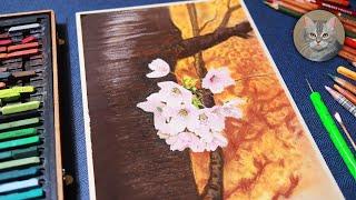 연필 파스텔로 벚꽃 그리기 How to draw Cherry Blossom tree :dimodraw