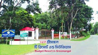 Sreemangal Tea Resort & Museum | Budget Resort in Sreemangal #travelvlog #traveling