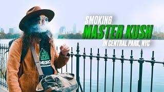 From the Kush Mountains to Central Park! Master Kush Smoke Review