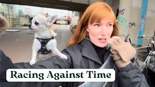 How a Dog Worming Emergency Nearly Stranded Me in Holland | What’s Next For the Channel?