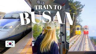 Seoul to Busan: South Korea's High Speed Train and Explore Busan