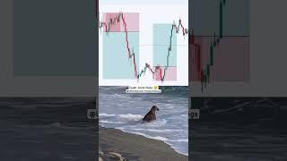 Dukh Dard Peda#intraday #stockmarket #intradaytrading #trading#profit #loss #trader #stock #nifty50