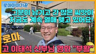 그분이 남기고 간 많은 씨앗이 지금도 계속 열매 맺고 있어요! ; 고 이태석 신부님 영화 "부활"