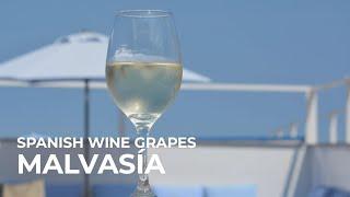 Spanish Wine Grapes: Malvasía