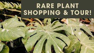 Rare Plant Shopping and Nursery Tour! | Tonkadale Greenhouse in Minnetonka, MN