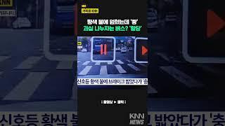 /신호등 황색 불에 브레이크 밟았다가 '충돌', 그런데 버스 반응이?/ KNN