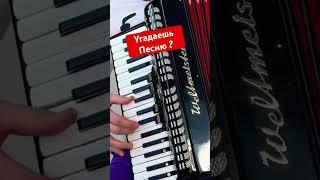 Молодёжь не знает эту песню !!! Какую песню сыграл на баяне аккордеоне #баянист #аккордеонист  #топ