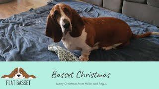 Basset Christmas