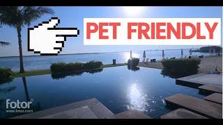 BEST Pet Friendly Hotel in Umm Al Quwaim - Pearl Hotel UAQ