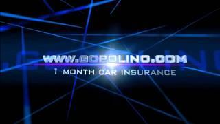 1 month car insurance - www.gopolino.com - 1 month car insurance