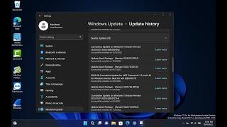 Cumulative Update for Windows 11 Insider Preview (10.0.25217.1010) (KB5019765)